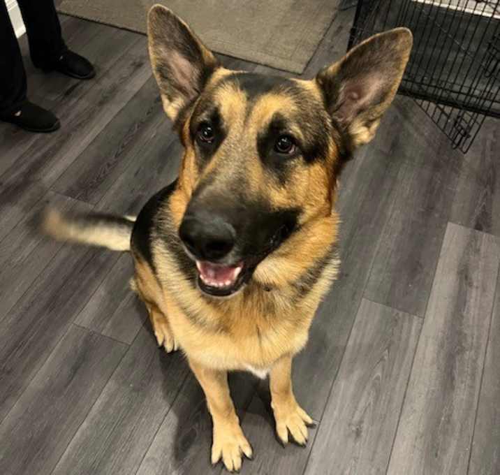 Photo of Major