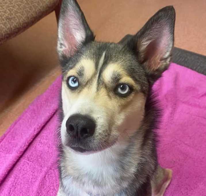 Photo of Sakari