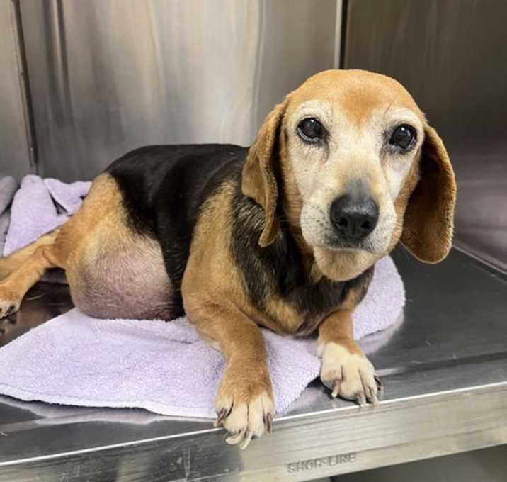 Photo of Charity