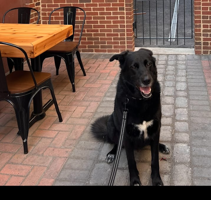 Photo of Digger