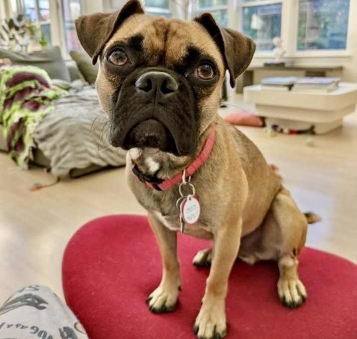 Photo of Hugo