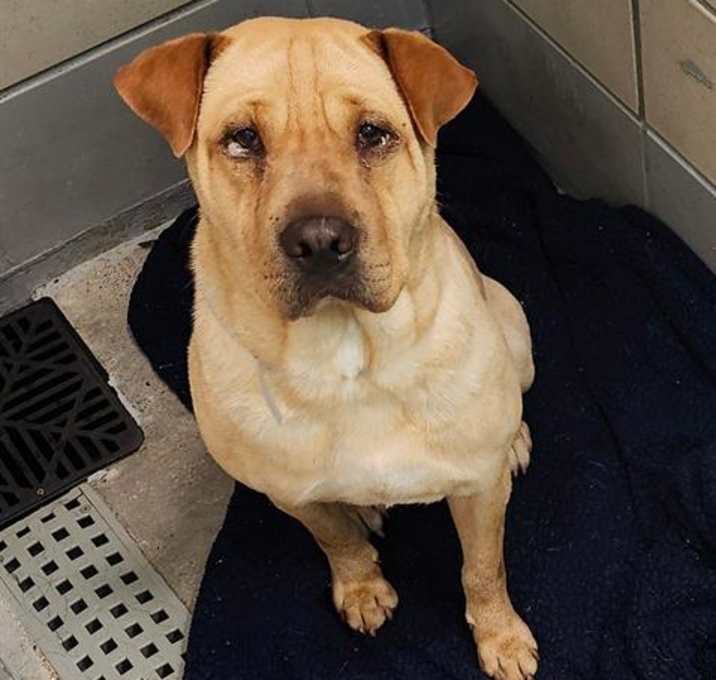 Photo of BETTY