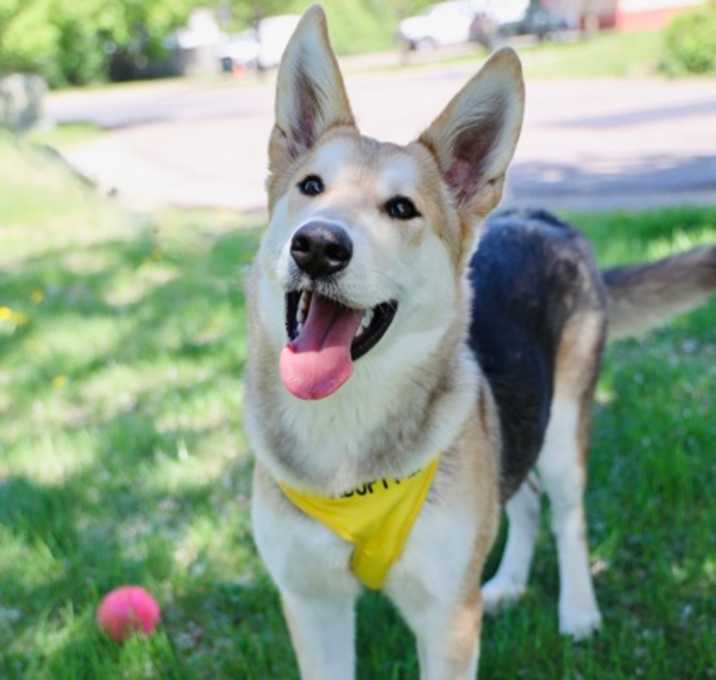 Photo of Taffy