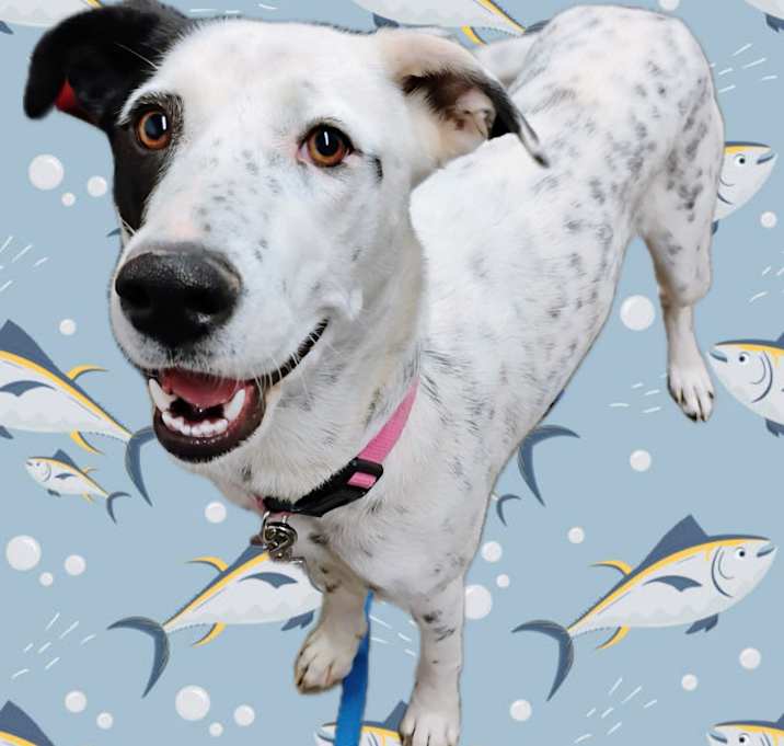 Photo of MAE MAE