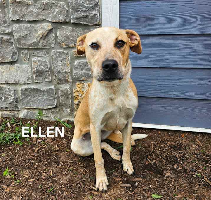 Photo of Ellen