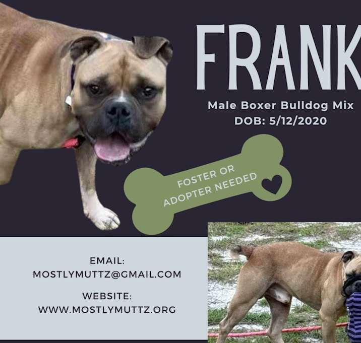 Photo of Frank