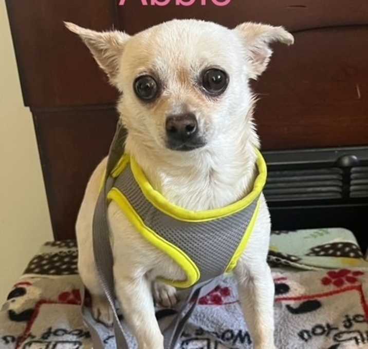 Photo of Abbie