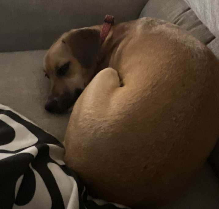 Photo of Rizzo