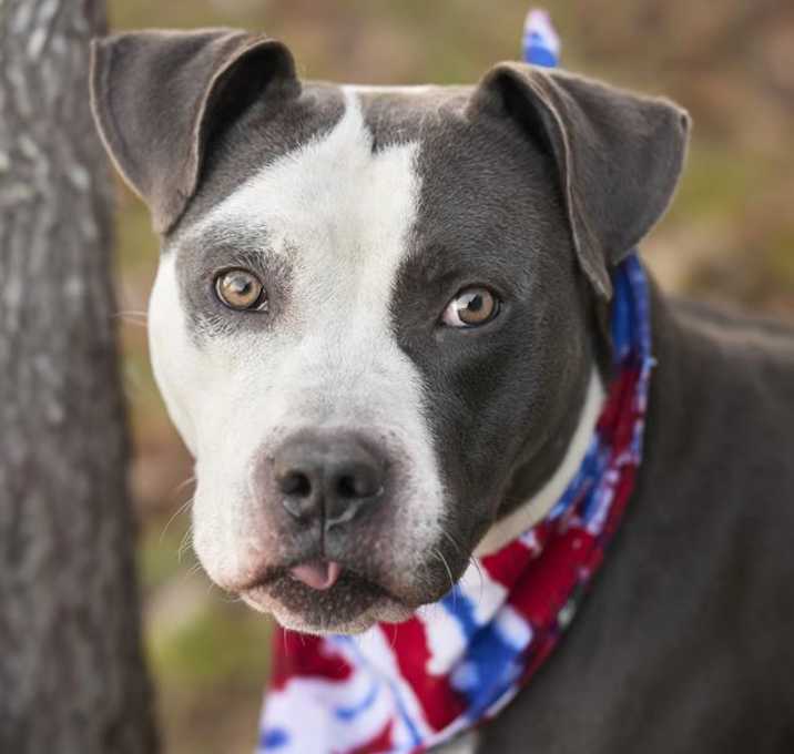 Photo of BUCKY