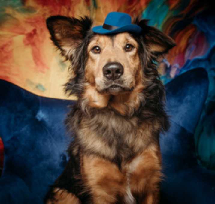 Photo of Junior