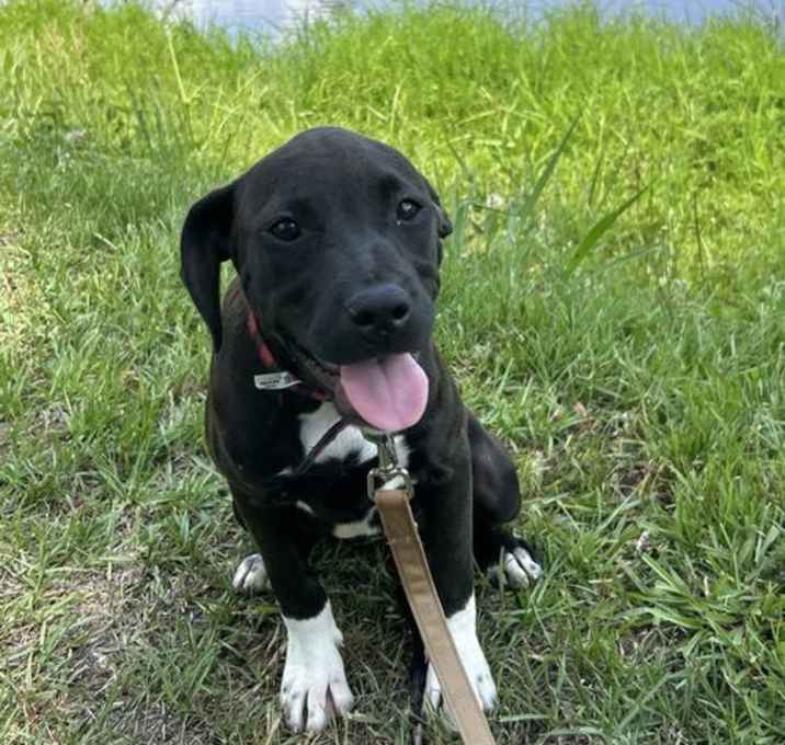Photo of Fallon