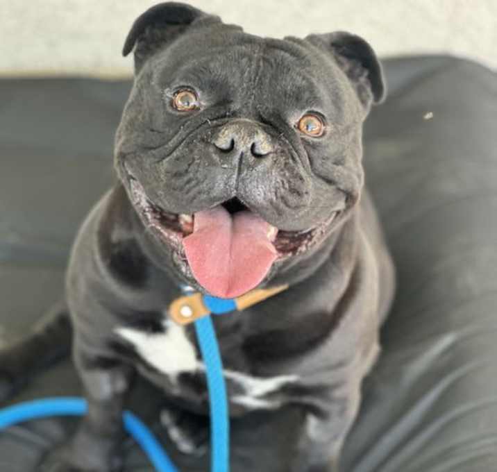 Photo of Panchito