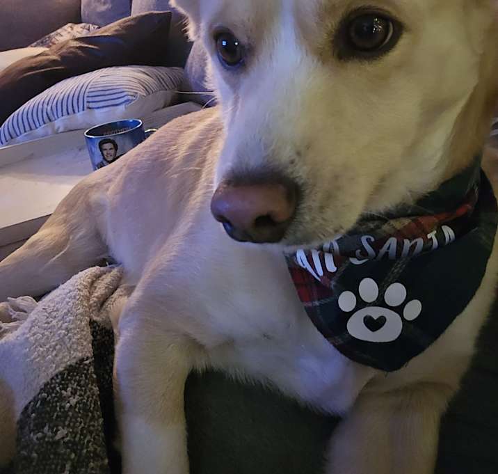 Photo of Bubba