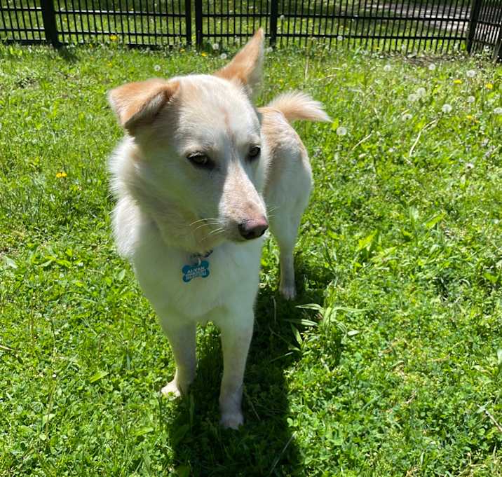 Photo of Wilbur