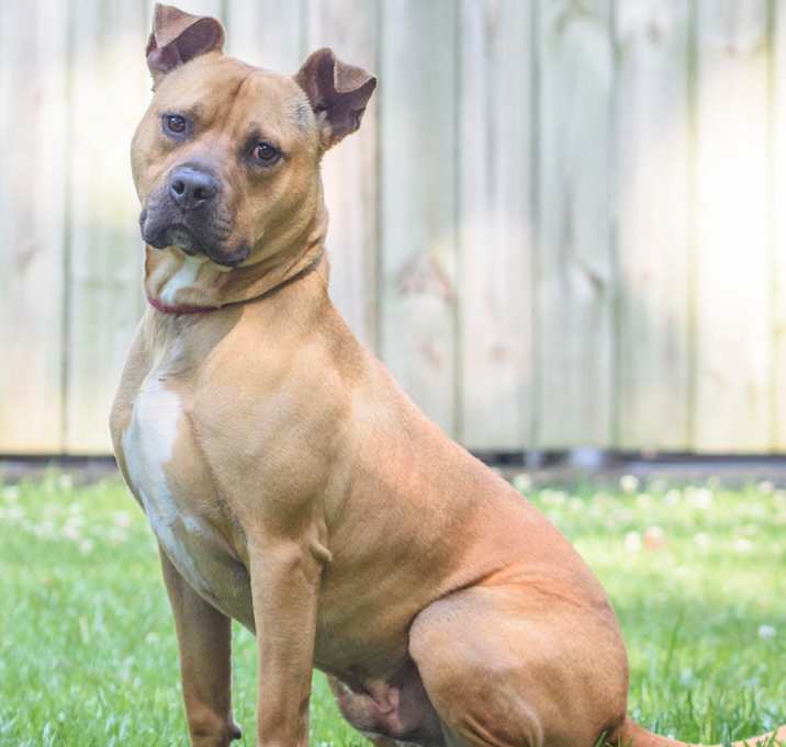 Photo of Jessie