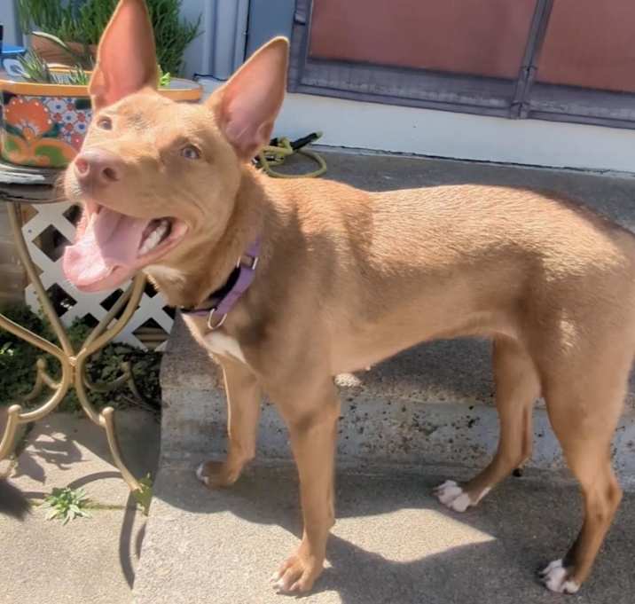Photo of Nora