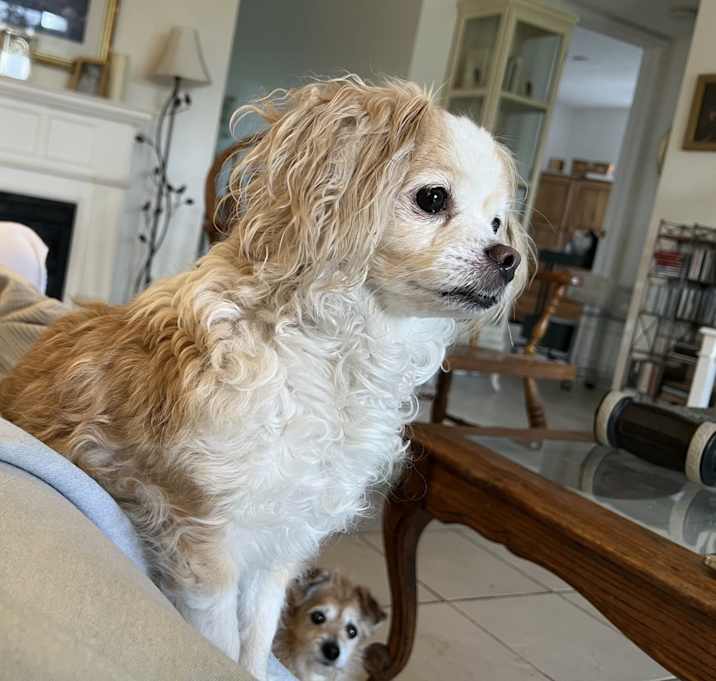 Photo of Hazel