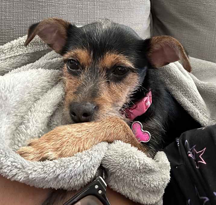 Photo of Coco