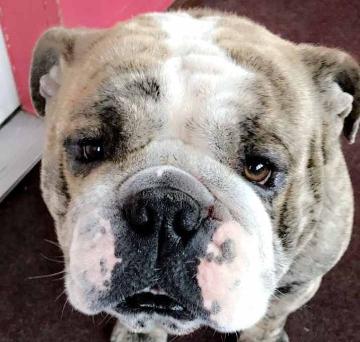 Photo of Jax