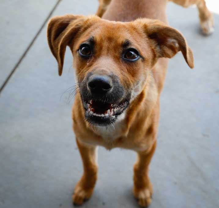 Photo of Frannie