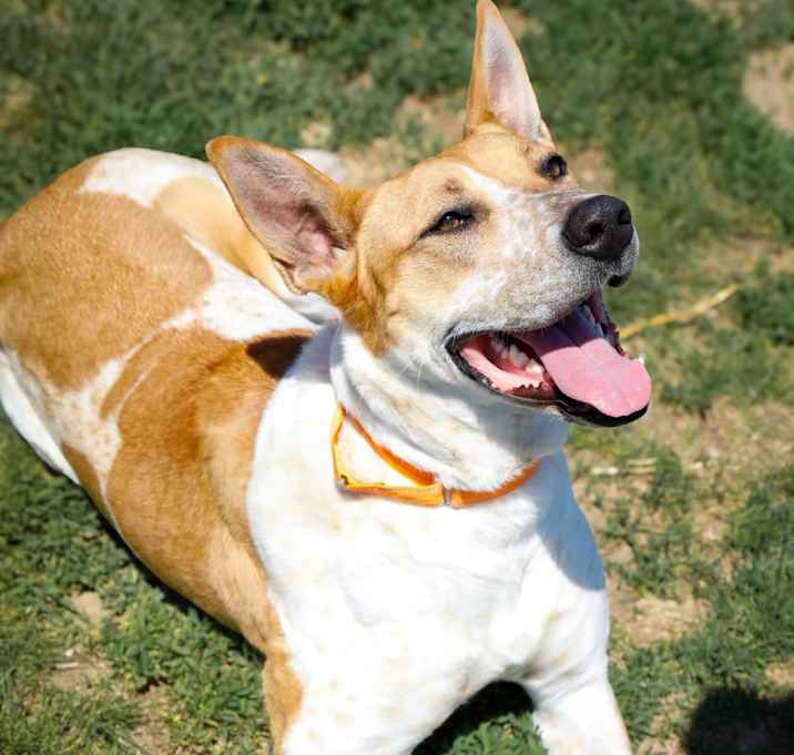Photo of Hazel