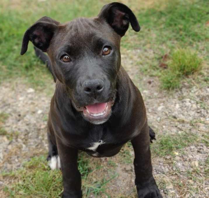 Photo of Zeeva 25/293