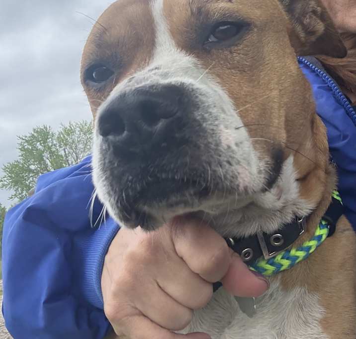 Photo of Odin