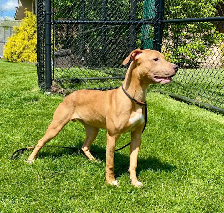 Photo of SABLE