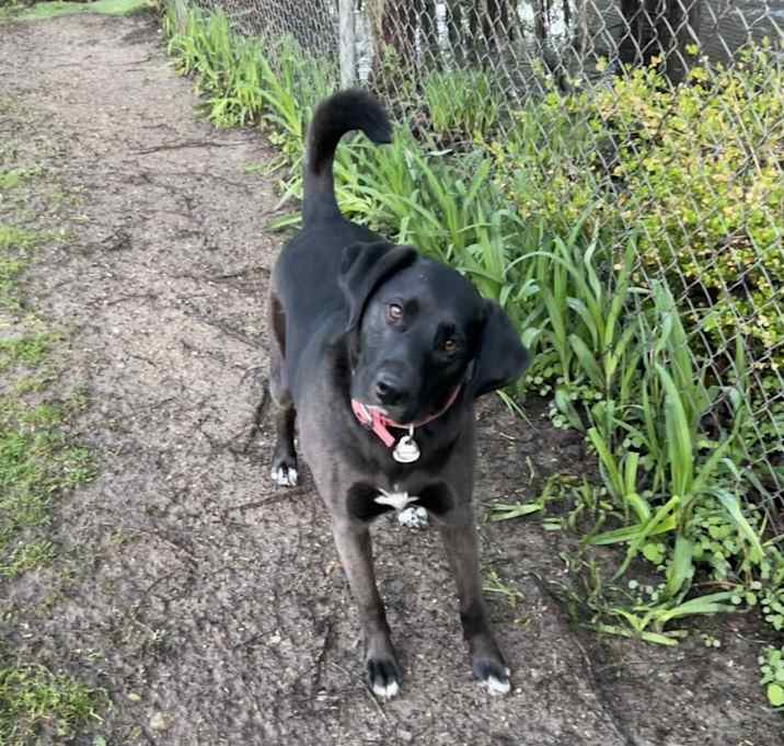 Photo of Nova