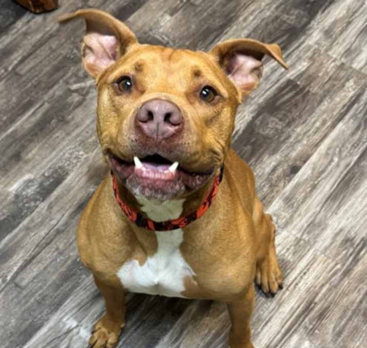 Photo of Bruce