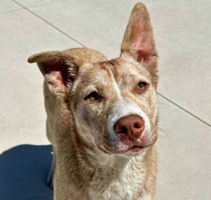 Photo of Persephone