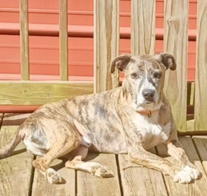 Photo of Reno