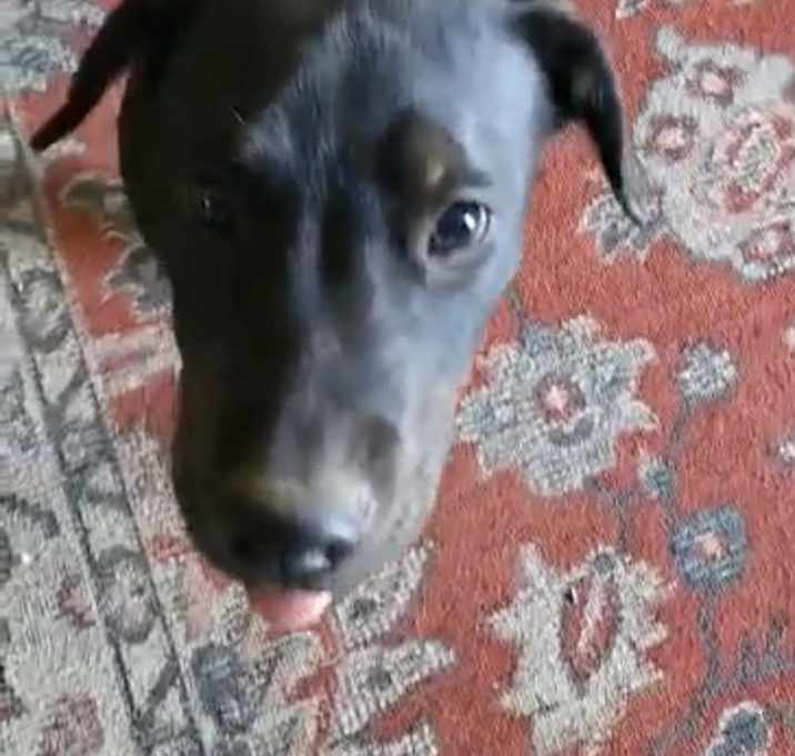 Photo of jet