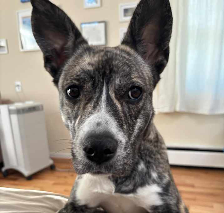 Photo of Rosey
