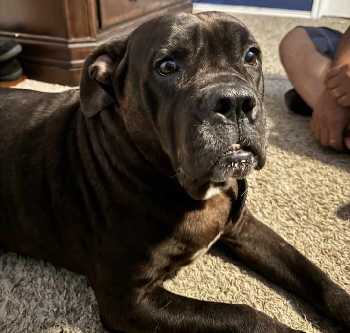 Photo of Arya