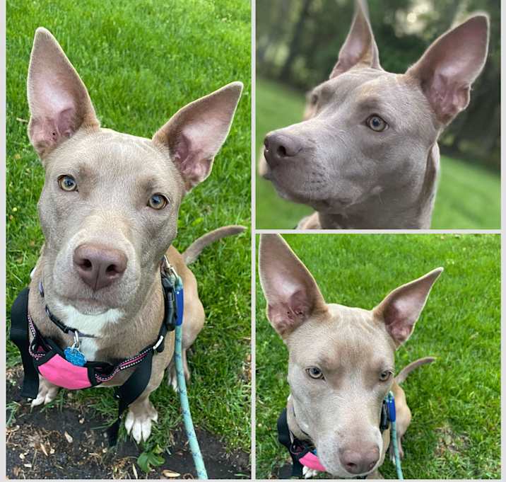 Photo of Nella