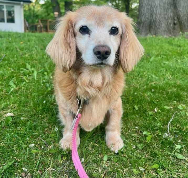 Photo of Mimi