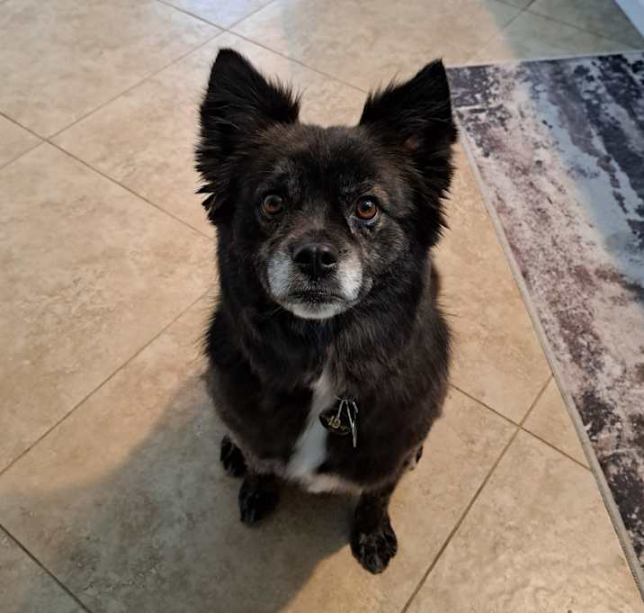 Photo of Bruno