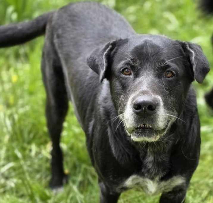 Photo of Jax Black