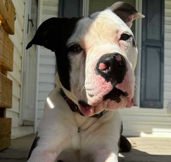 Photo of Duffy