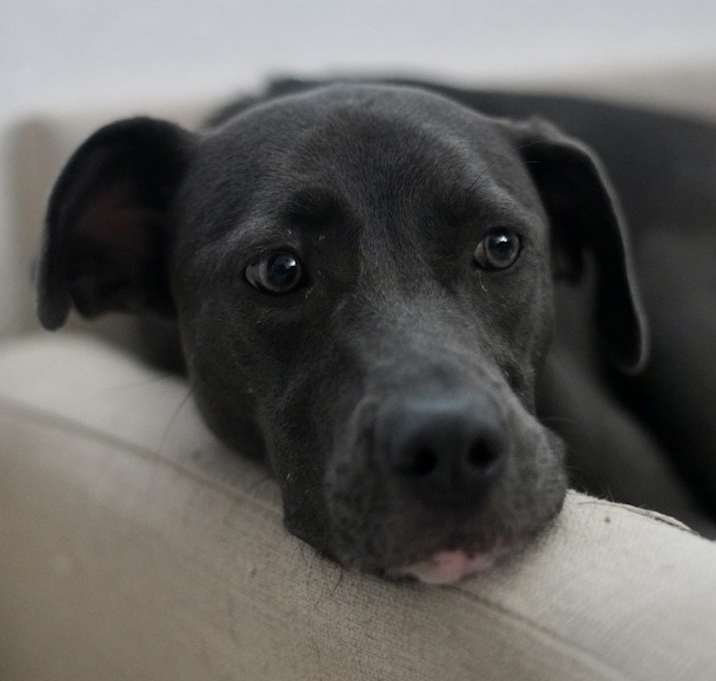Photo of Greta
