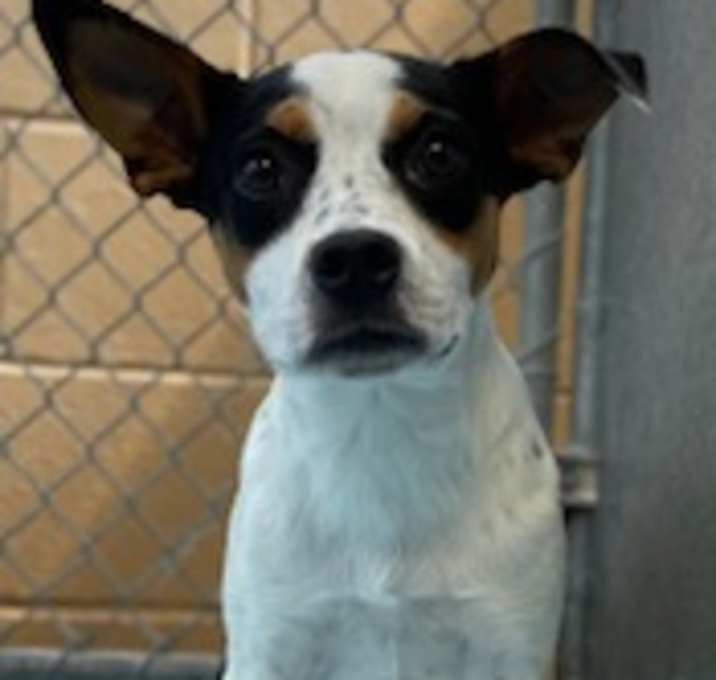 Photo of Ruthie