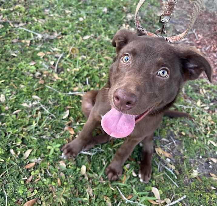 Photo of Oso