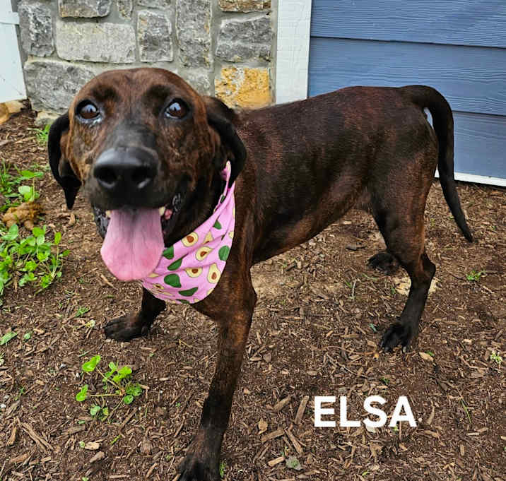 Photo of Elsa