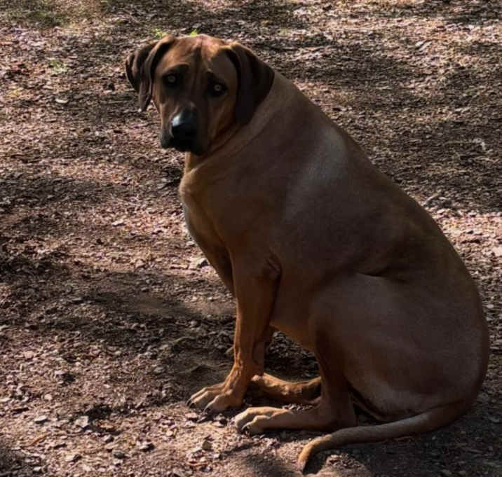 Photo of Skyler
