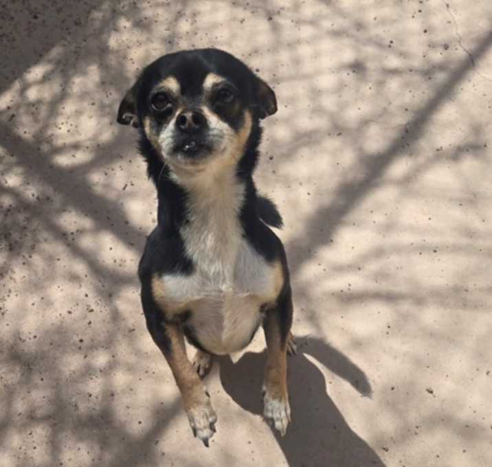 Photo of Juanito Bone-ito