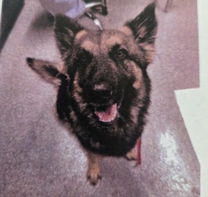 Photo of Roxie