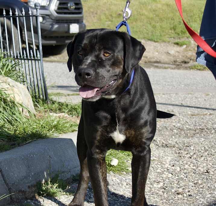 Photo of Macho