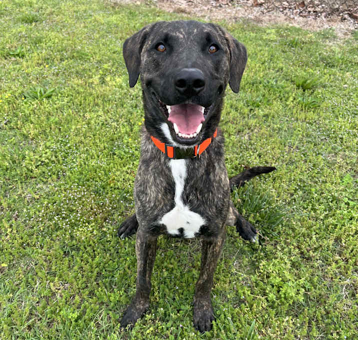 Photo of Bruce