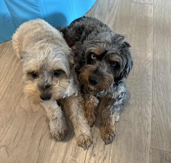 Photo of Bentley